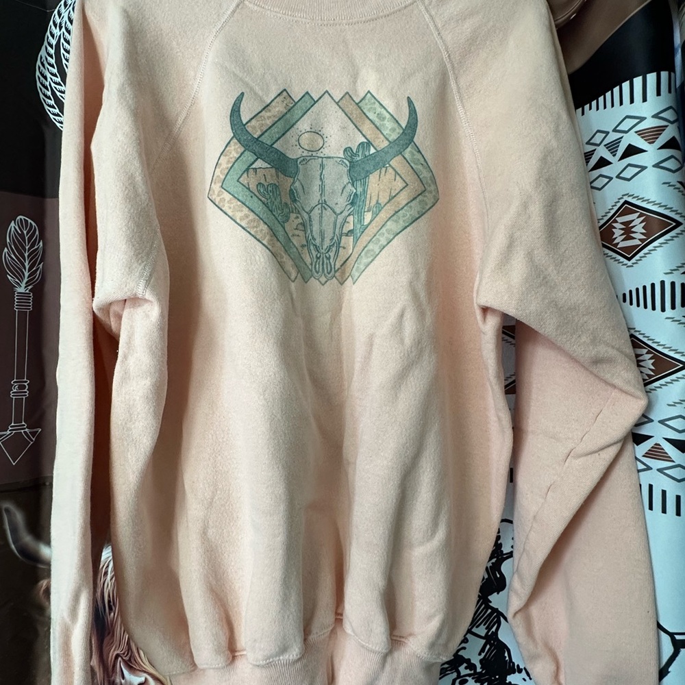 Hanes Light Pink Sweatshirt
